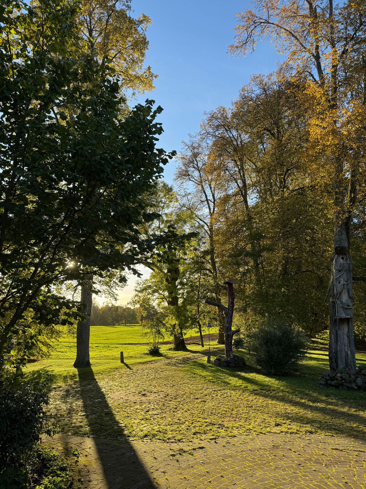 The lime tree avenue in autumn